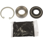 Order DORMAN - 905-515 - Power Steering Rack Input Shaft Bearing and Seal For Your Vehicle