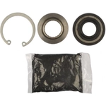 Order Steering Gear Seal Kit by DORMAN (OE SOLUTIONS) - 905-515 For Your Vehicle