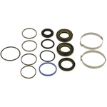 Order Steering Gear Seal Kit by EDELMANN - 8885 For Your Vehicle
