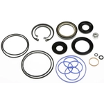 Order Steering Gear Seal Kit by EDELMANN - 8902 For Your Vehicle