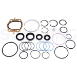 Order Steering Gear Seal Kit by SUNSONG NORTH AMERICA - 8401078 For Your Vehicle