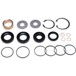 Order SUNSONG NORTH AMERICA - 8401370 - Rack and Pinion Seal Kit For Your Vehicle