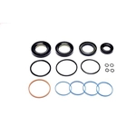 Order SUNSONG NORTH AMERICA - 8401501 - Rack and Pinion Seal Kit For Your Vehicle