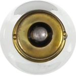 Order Step Or Courtesy Light by WAGNER - BP93 For Your Vehicle