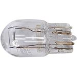 Order ACDELCO - 13503361 - Halogen Bulb For Your Vehicle