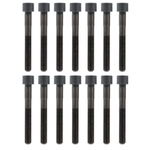 Order APEX AUTOMOBILE PARTS - AHB849 - Engine Cylinder Head Bolt Set For Your Vehicle