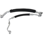 Order FOUR SEASONS - 66064 - A/C Discharge and Suction Line Hose Assembly For Your Vehicle