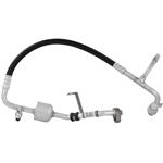 Order MOTORCRAFT - YF38343 - A/C Manifold Hose Assembly For Your Vehicle