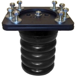 Order Sumo Springs by SUPERSPRINGS - SSR-307-47 For Your Vehicle