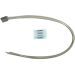Order Sunroof Motor Connector by BLUE STREAK (HYGRADE MOTOR) - S1388 For Your Vehicle