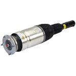 Order ARNOTT - AS3067 - Air Suspension Strut For Your Vehicle