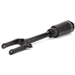 Order Suspension Air Strut by ARNOTT - AS3005 For Your Vehicle