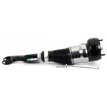 Order Suspension Air Strut by ARNOTT - AS3160 For Your Vehicle