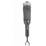 Order Suspension Air Strut by UNITY AUTOMOTIVE - 17129900 For Your Vehicle