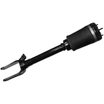 Order Suspension Air Strut by UNITY AUTOMOTIVE - 18112900 For Your Vehicle