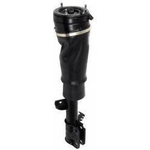 Order Suspension Air Strut by UNITY AUTOMOTIVE - 18172001 For Your Vehicle