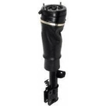 Order Suspension Air Strut by UNITY AUTOMOTIVE - 18172002 For Your Vehicle