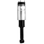 Order Suspension Air Strut by UNITY AUTOMOTIVE - 18173000 For Your Vehicle
