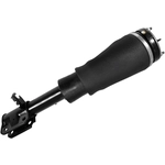 Order Suspension Air Strut by UNITY AUTOMOTIVE - 18174002 For Your Vehicle