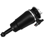 Order Suspension Air Strut by UNITY AUTOMOTIVE - 18-560000 For Your Vehicle