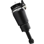 Order Suspension Air Strut by UNITY AUTOMOTIVE - 18-560000 For Your Vehicle