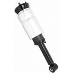 Order Suspension Air Strut by UNITY AUTOMOTIVE - 18573000 For Your Vehicle