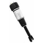 Order Suspension Air Strut by UNITY AUTOMOTIVE - 28111700 For Your Vehicle