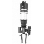 Order Suspension Air Strut by UNITY AUTOMOTIVE - 28112601 For Your Vehicle