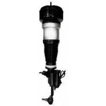 Order Suspension Air Strut by UNITY AUTOMOTIVE - 28113701 For Your Vehicle