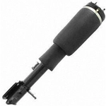 Order Suspension Air Strut by UNITY AUTOMOTIVE - 28174001 For Your Vehicle