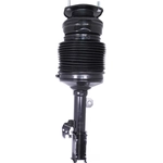 Order Suspension Air Strut by WESTAR INDUSTRIES - AS7387 For Your Vehicle