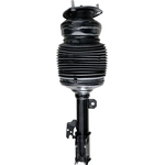 Order Suspension Air Strut by WESTAR INDUSTRIES - AS7388 For Your Vehicle