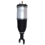 Order WESTAR INDUSTRIES - AS7392 - Air Suspension Strut For Your Vehicle
