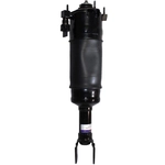 Order Suspension Air Strut by WESTAR INDUSTRIES - AS7301 For Your Vehicle