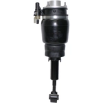 Order Suspension Air Strut by WESTAR INDUSTRIES - AS7314 For Your Vehicle