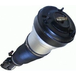 Order Suspension Air Strut by WESTAR INDUSTRIES - AS7333 For Your Vehicle
