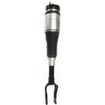 Order WESTAR INDUSTRIES - AS7370 - Suspension Air Strut For Your Vehicle