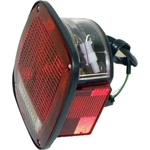 Order Tail Light Assembly by CROWN AUTOMOTIVE JEEP REPLACEMENT - 56002135 For Your Vehicle