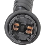 Order Tail Light Harness by BLUE STREAK (HYGRADE MOTOR) - S2634 For Your Vehicle