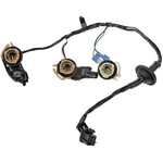 Order DORMAN (OE SOLUTIONS) - 923-015 - Tail Light Harness For Your Vehicle