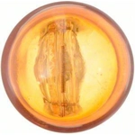 Order Tail Light by PHILIPS - 7440NALLB2 For Your Vehicle