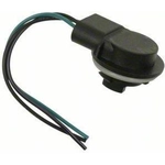Order Tail Light Socket by BLUE STREAK (HYGRADE MOTOR) - S532 For Your Vehicle