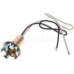 Order Tail Light Socket by BLUE STREAK (HYGRADE MOTOR) - S89 For Your Vehicle