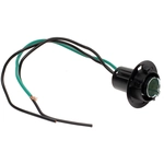 Order BWD AUTOMOTIVE - PT170 - Tail Douille de lampe For Your Vehicle