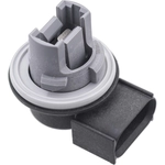 Order BWD AUTOMOTIVE - PT2593 -  Tail Lamp Socket For Your Vehicle