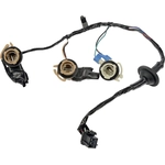 Order DORMAN - 923-015 - Tail Light Wiring Harness For Your Vehicle