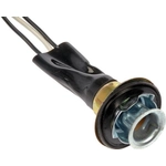 Order Tail Light Socket by DORMAN/CONDUCT-TITE - 85833 For Your Vehicle