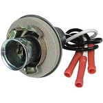 Order PICO OF CANADA - 5452-BP - 4 Wire Park For Your Vehicle