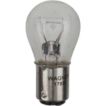 Order Tail Light (Pack of 10) by WAGNER - 17881 For Your Vehicle