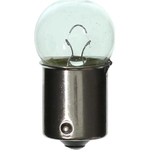 Order Tail Light by WAGNER - BP67 For Your Vehicle